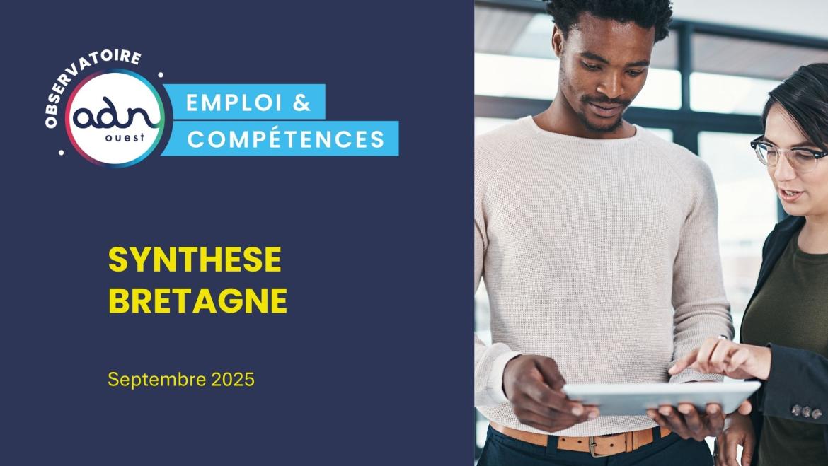 Visuel Synthèse Bretagne