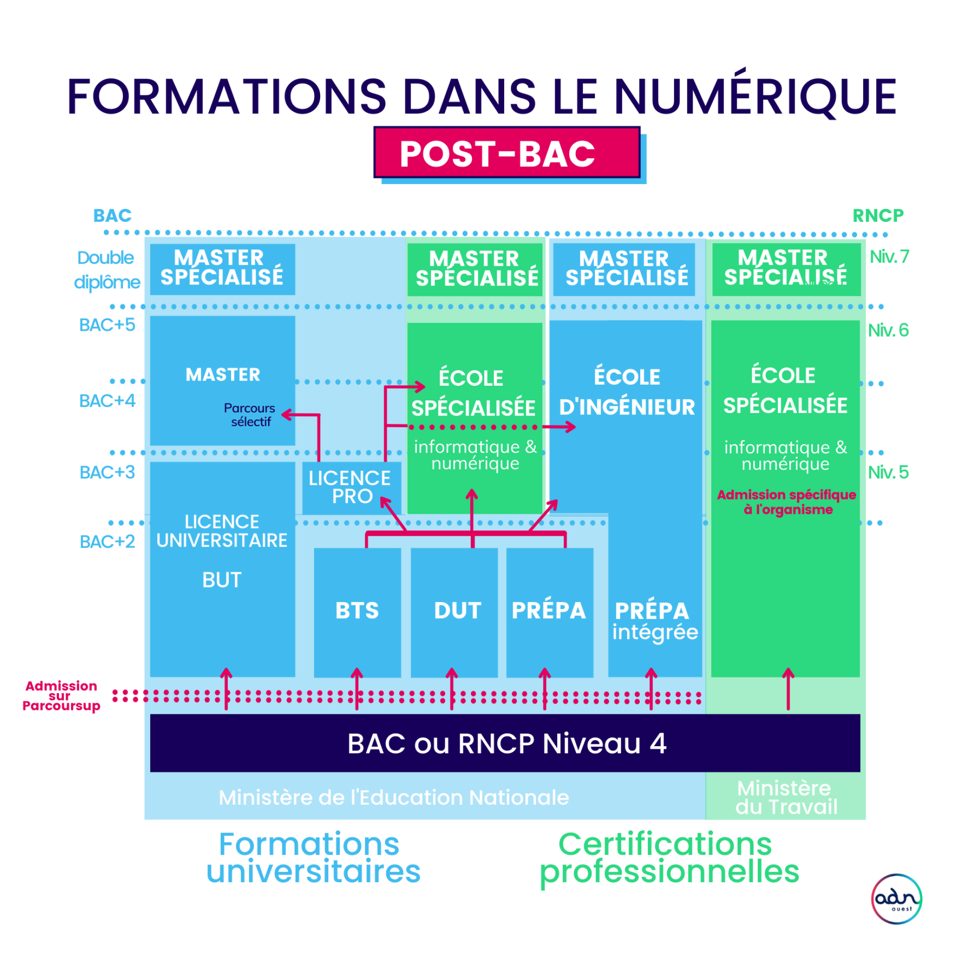 Formation universitaires