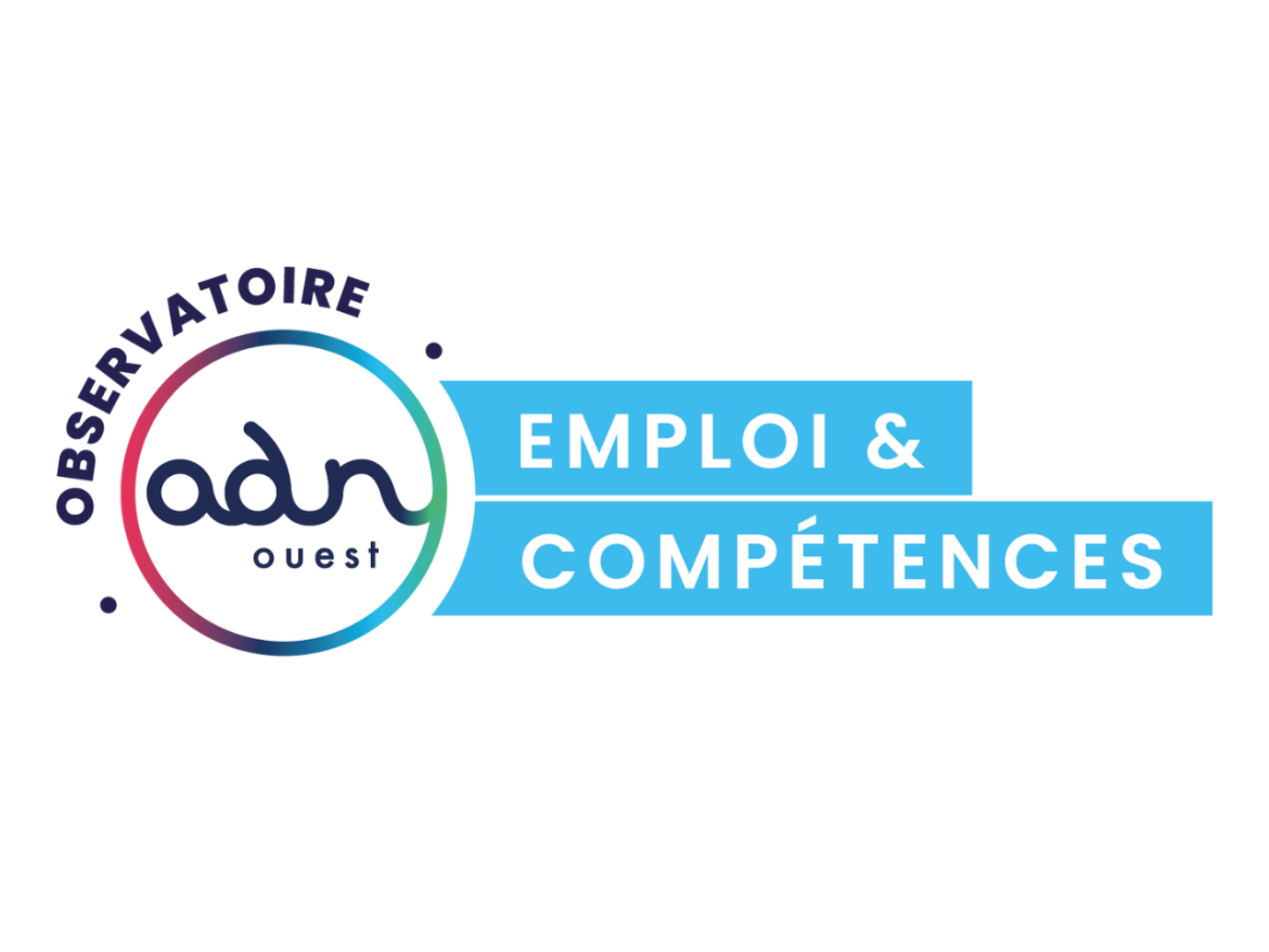 Observatoire Régional des Compétences du Numérique